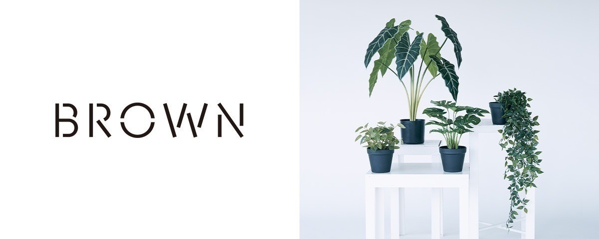 BROWN / ブラウン