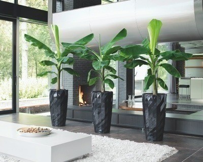 GEORG JENSEN FLORA VASE M / ジョージ ジェンセン フローラ ヴェース