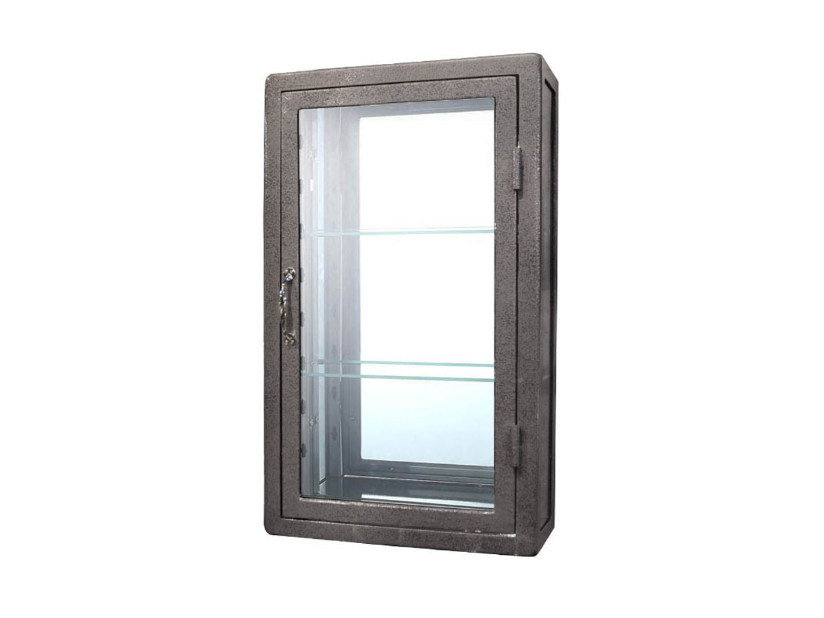 Wall mount glass cabinet rectangle 4