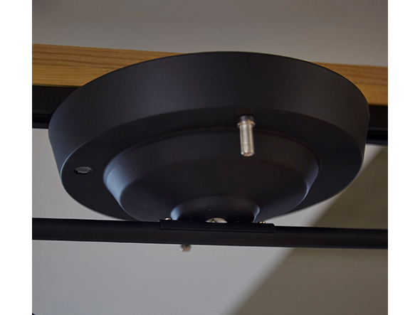 Remote Ceiling Lamp / 4灯リモートシーリングランプ #35481 （ライト・照明 > シーリングライト） 5