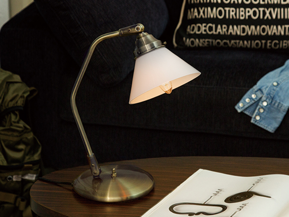 CUSTOM SERIES
Classic Desk Lamp × Trans Dish 5