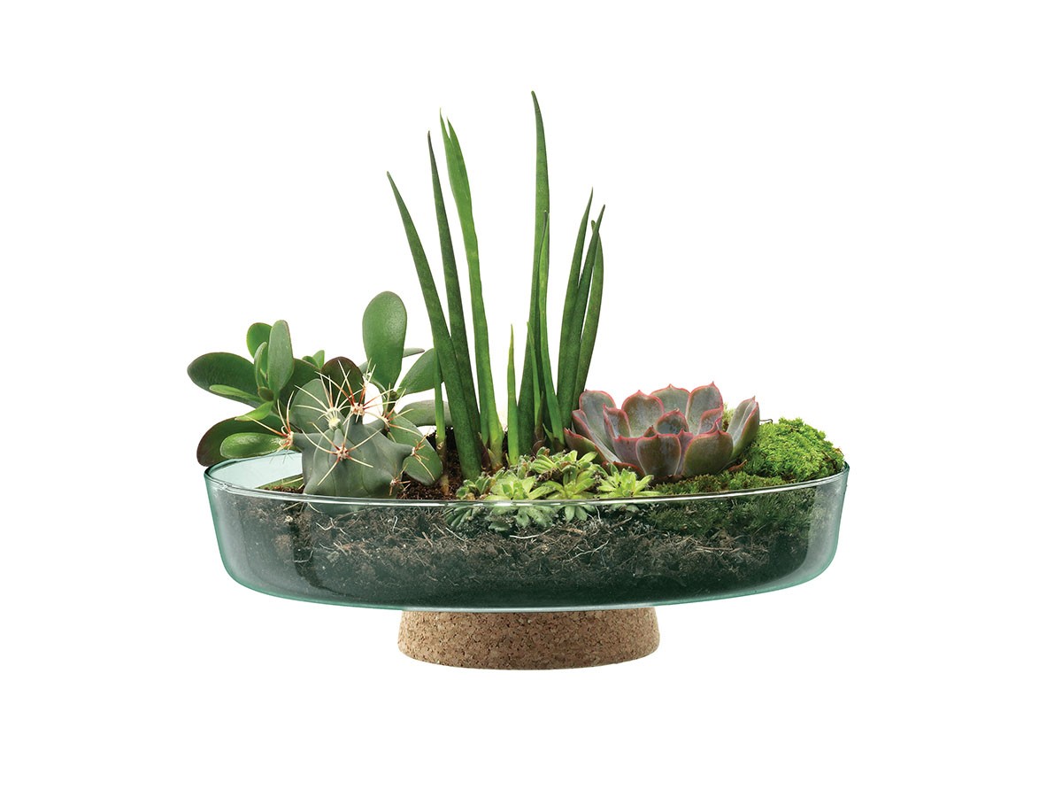 LSA International CANOPY PLANTING BOWL / エルエスエー