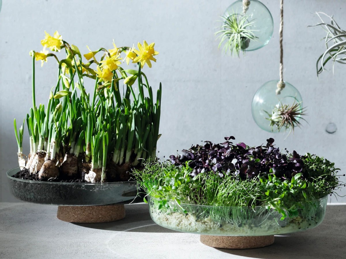 LSA International CANOPY PLANTING BOWL / エルエスエー