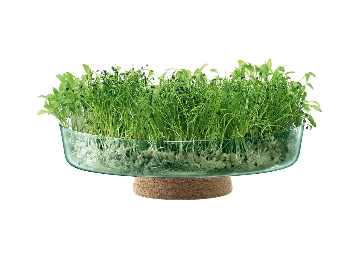 LSA International CANOPY PLANTING BOWL / エルエスエー