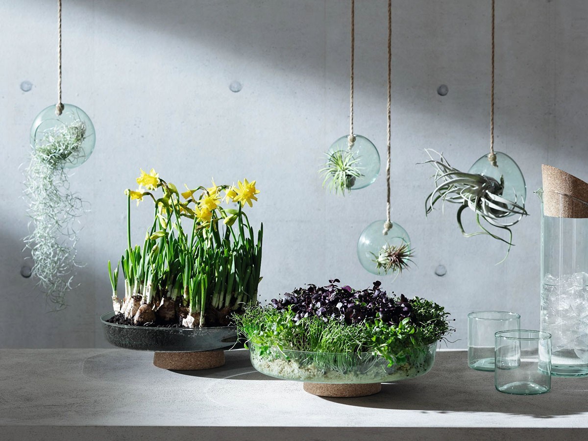 LSA International CANOPY PLANTING BOWL / エルエスエー