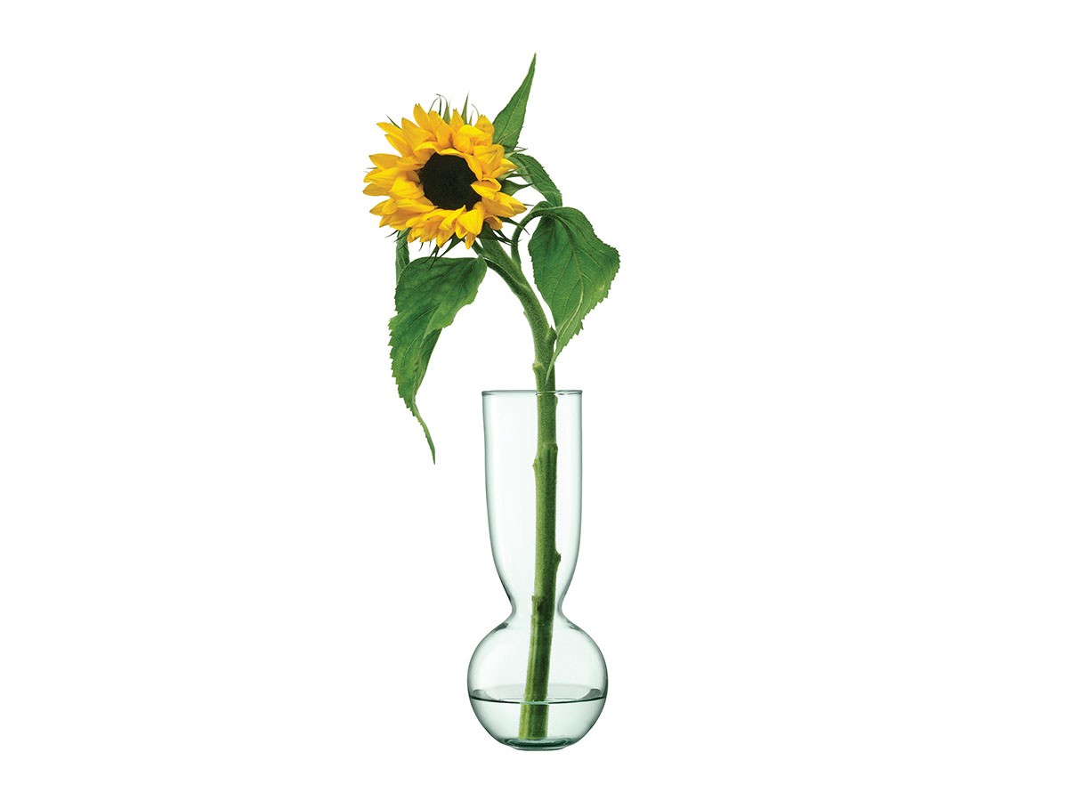 LSA International CANOPY TRIO VASE SET / エルエスエー インターナショナル キャノピー トリオ ベース セット （花器・プランター・グリーン > 花瓶・フラワーベース） 4