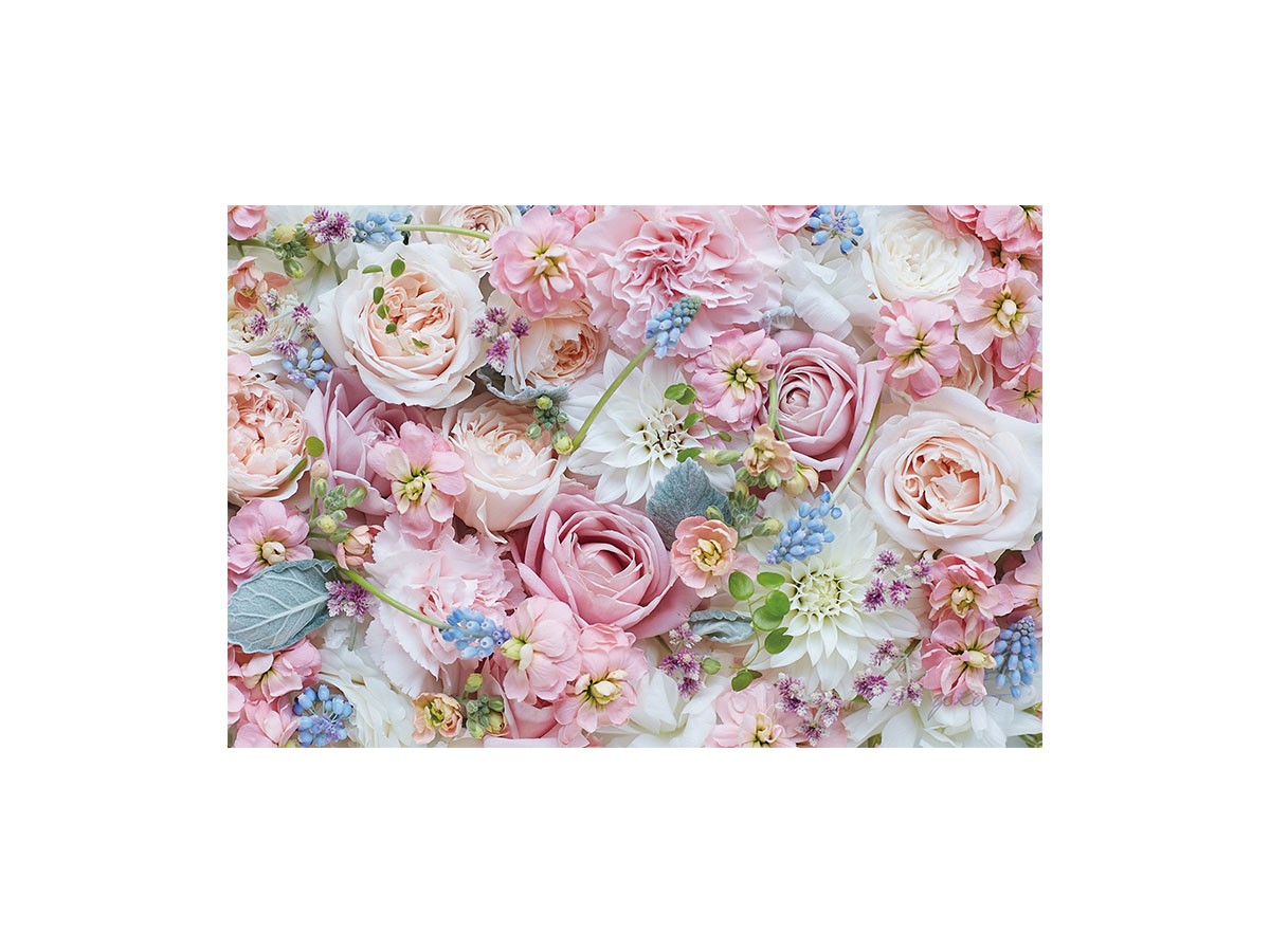 Pastel Bloom Rose Hermoney