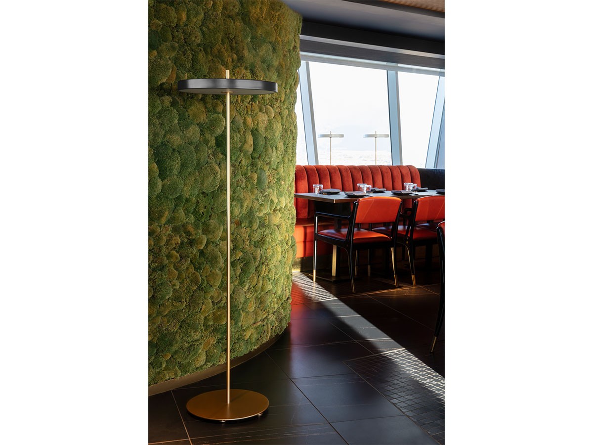 UMAGE Asteria Floor / ウメイ アステリア フロア （ライト・照明 > フロアライト・フロアスタンド） 6