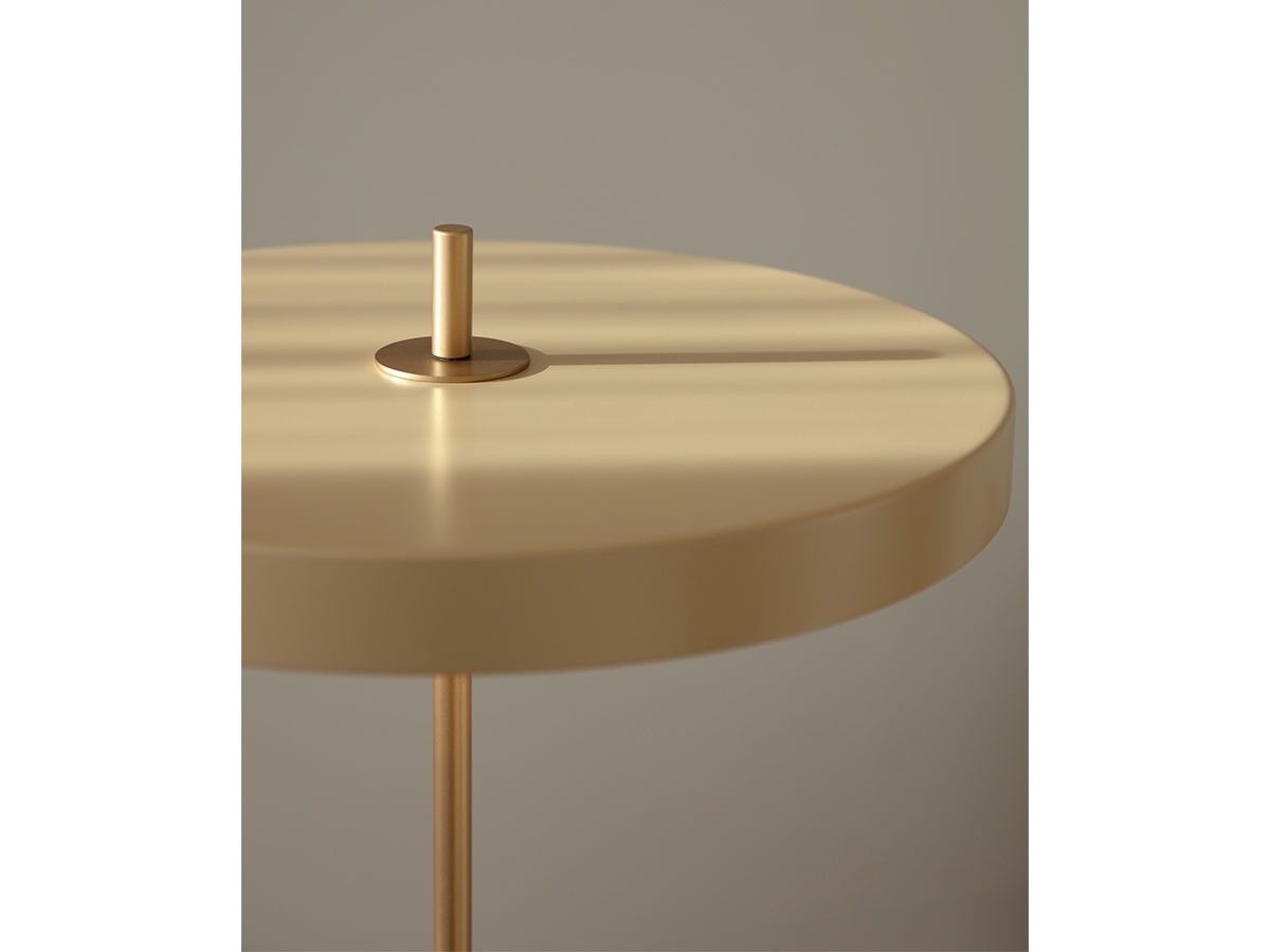 UMAGE Asteria Floor / ウメイ アステリア フロア （ライト・照明 > フロアライト・フロアスタンド） 11