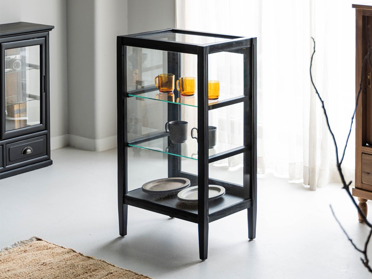 Knot antiques MITSUKI GLASS CABINET / ノットアンティークス ミツキ
