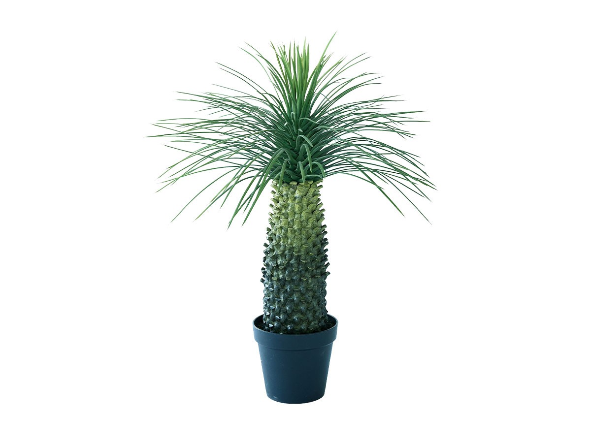 BROWN Yucca Rostrata Pot / ブラウン ユッカ ロストラータ ポット 91 (花器・プランター・グリーン > フェイクグリーン・フェイクフラワー) 1