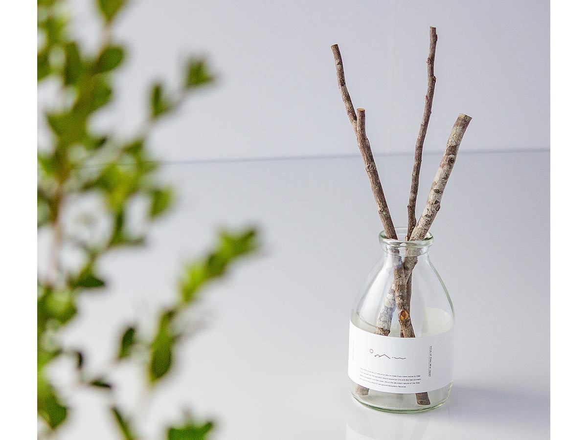Odai reed diffuser set inushide / オオダイ リードディフューザーセット イヌシデ 森林の香り （インテリア雑貨 > ルームフレグランス） 5