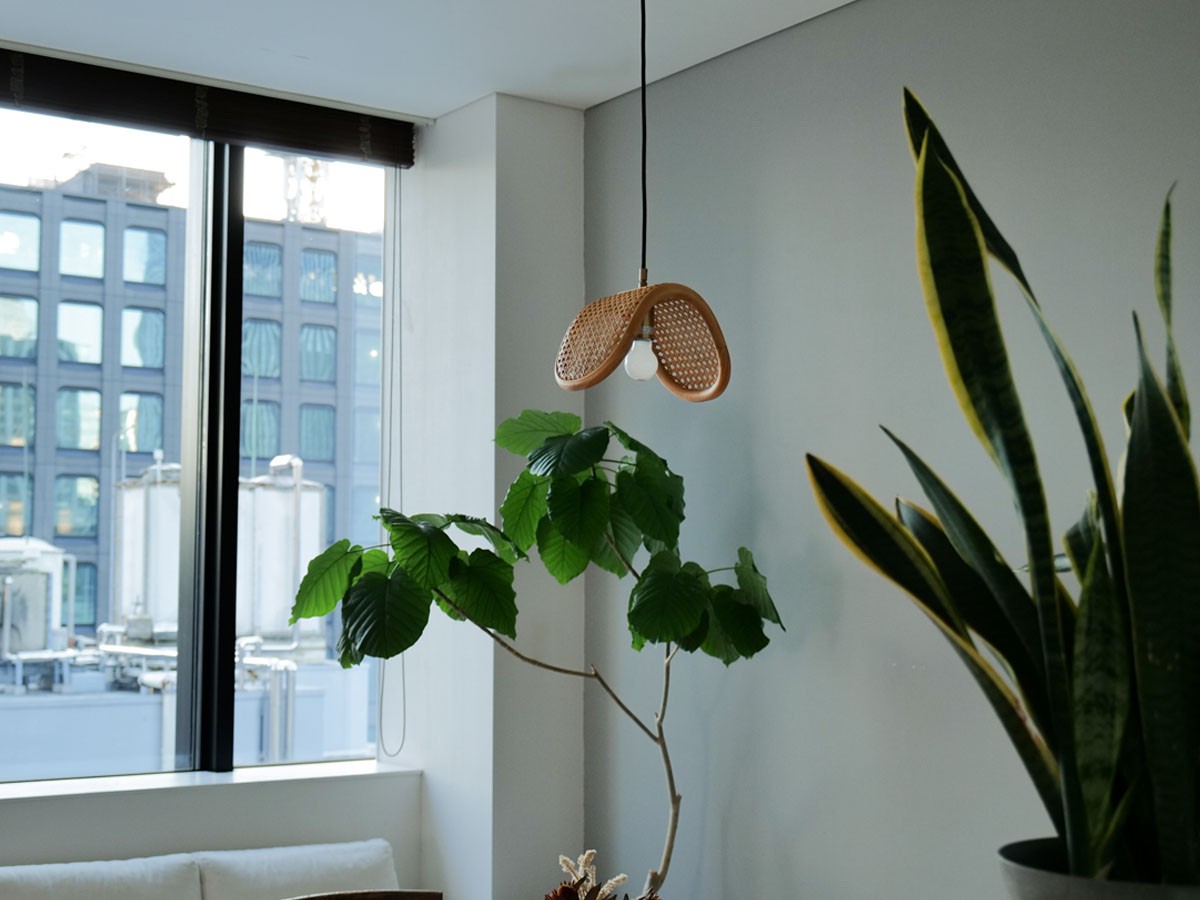 PENDANT LAMP / ペンダントランプ 1灯 #118632 （ライト・照明 > ペンダントライト） 11