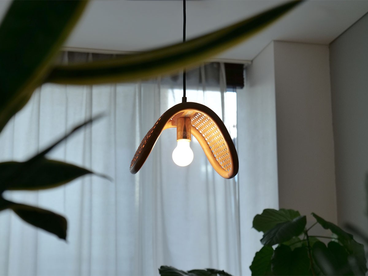 PENDANT LAMP / ペンダントランプ 1灯 #118632 （ライト・照明 > ペンダントライト） 16