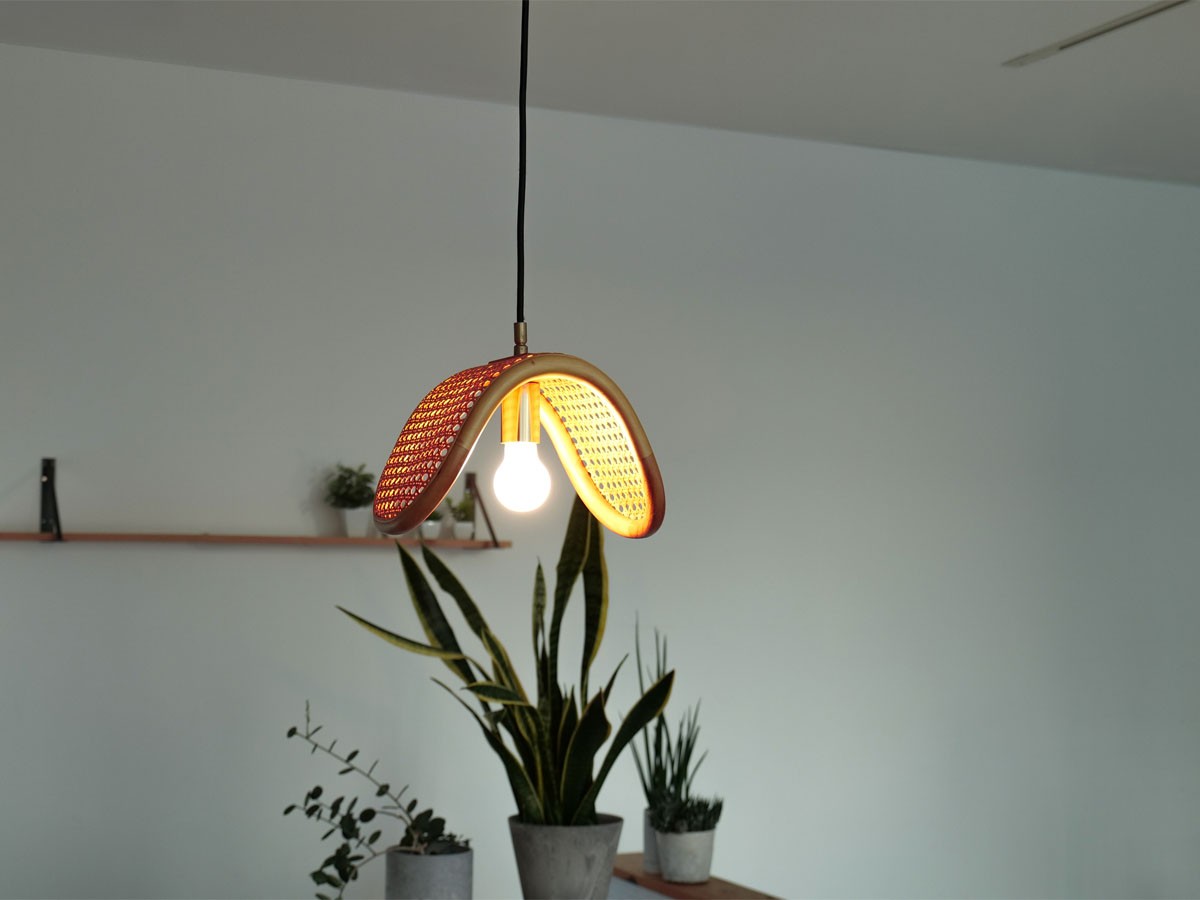 PENDANT LAMP / ペンダントランプ 1灯 #118632 （ライト・照明 > ペンダントライト） 12