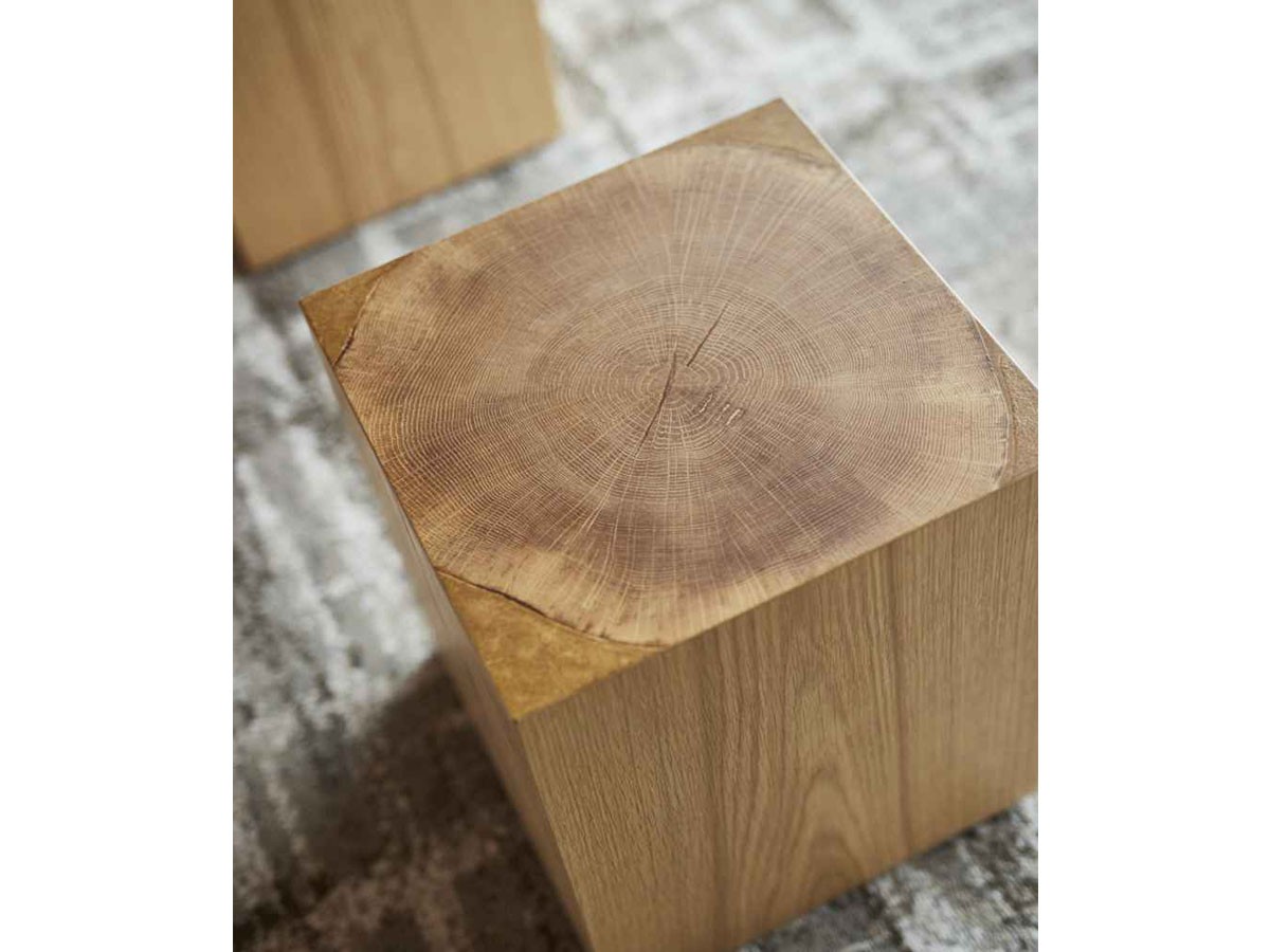 ABORD STOOL / アボール スツール W009 （チェア・椅子 > スツール） 10