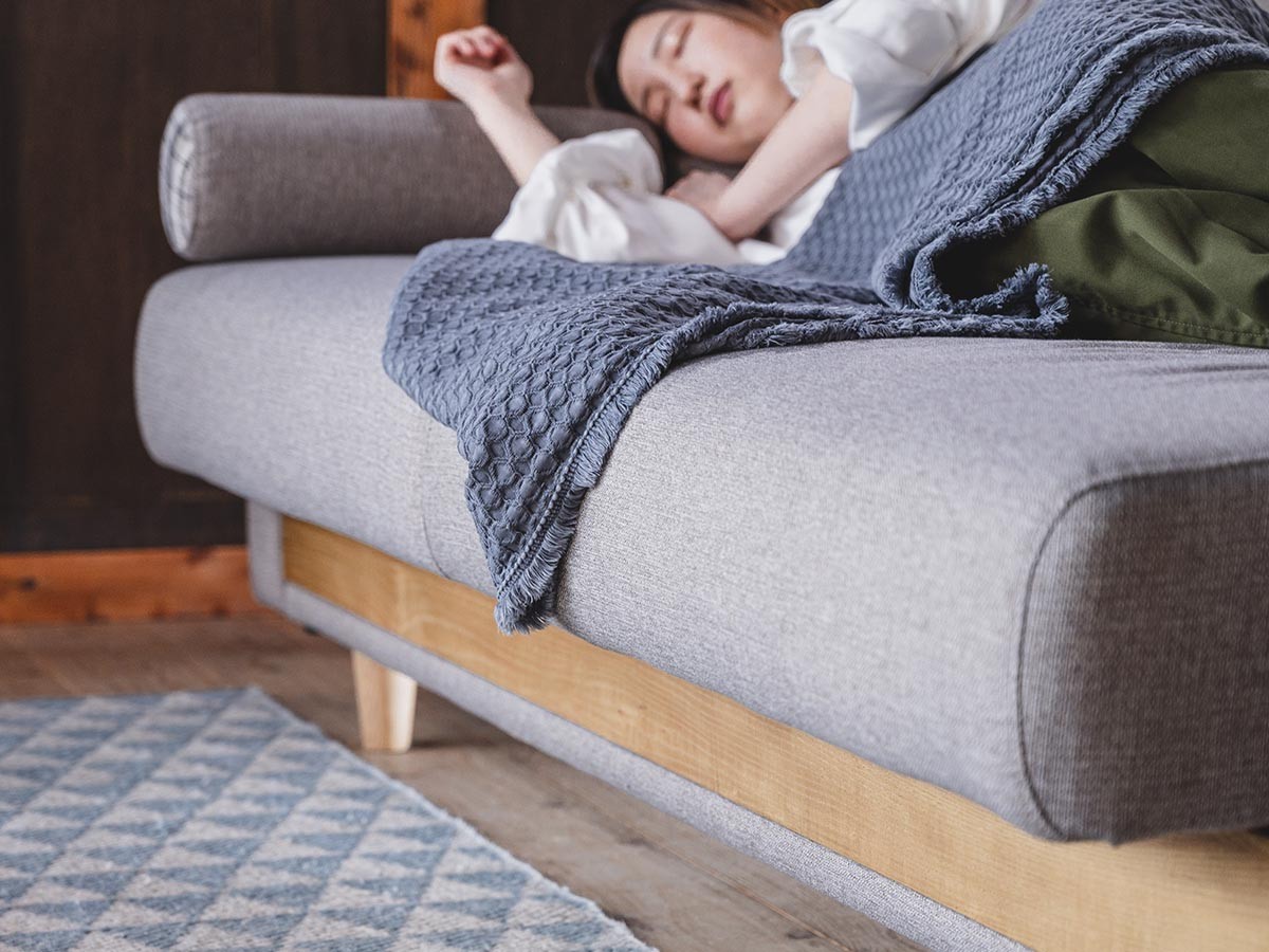 HERSHEY SOFA BED / ハーシー ソファベッド （ソファ > 三人掛けソファ） 25