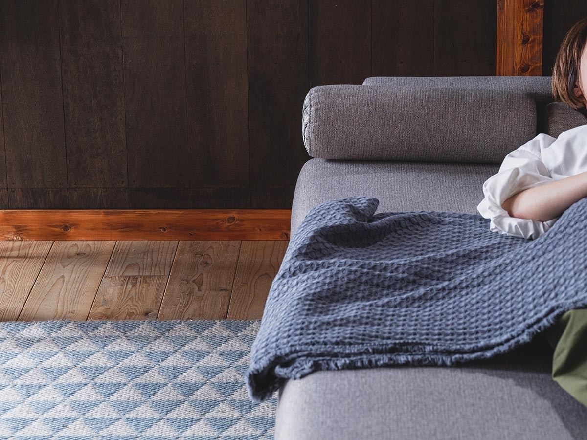 HERSHEY SOFA BED / ハーシー ソファベッド （ソファ > 三人掛けソファ） 24