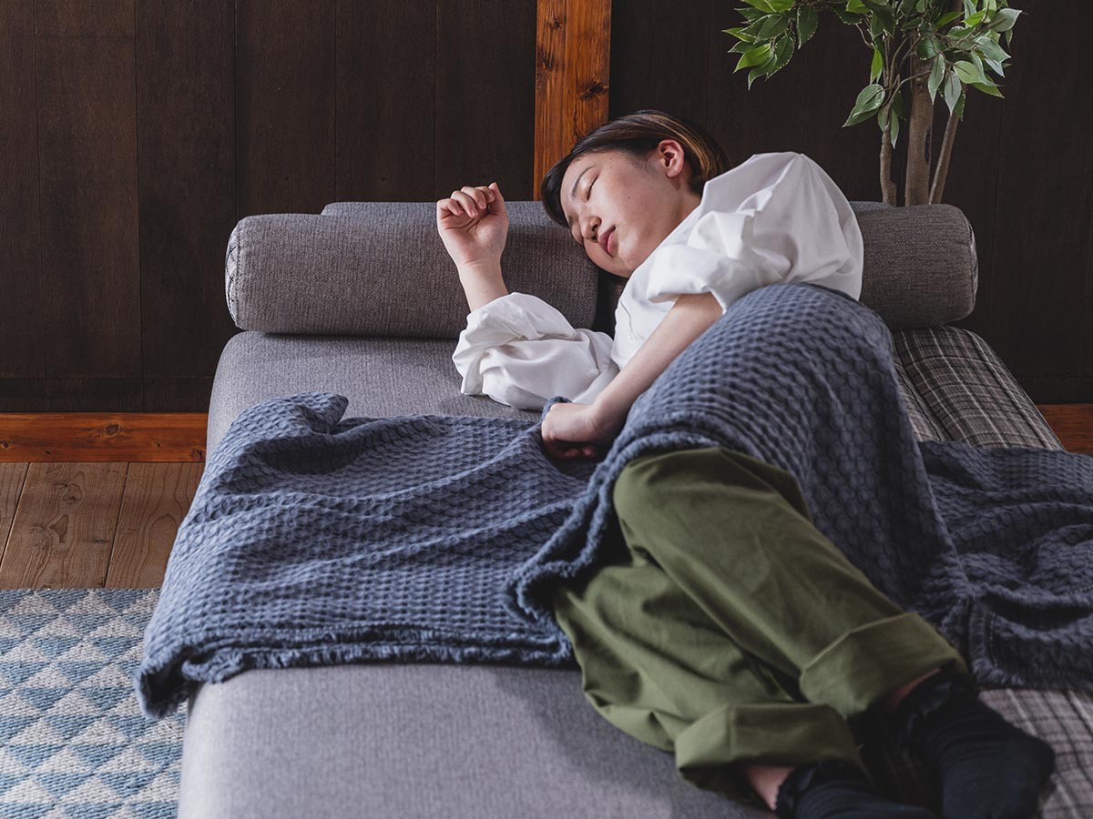 HERSHEY SOFA BED / ハーシー ソファベッド （ソファ > 三人掛けソファ） 22