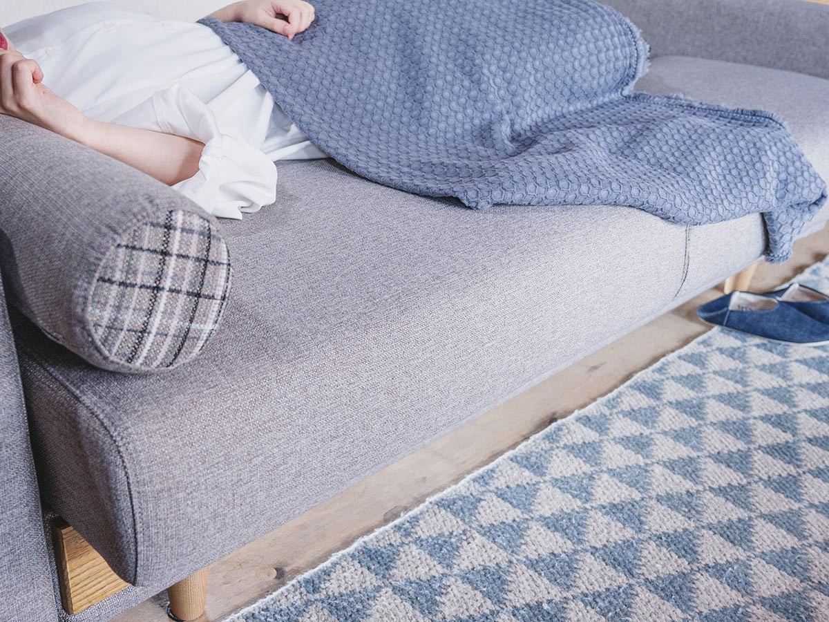 HERSHEY SOFA BED / ハーシー ソファベッド （ソファ > 三人掛けソファ） 28
