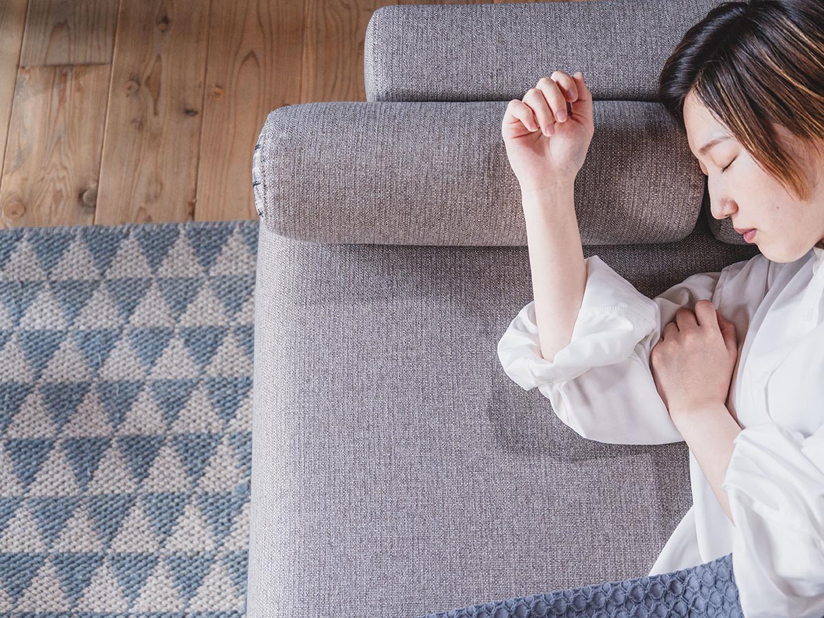HERSHEY SOFA BED / ハーシー ソファベッド （ソファ > 三人掛けソファ） 29