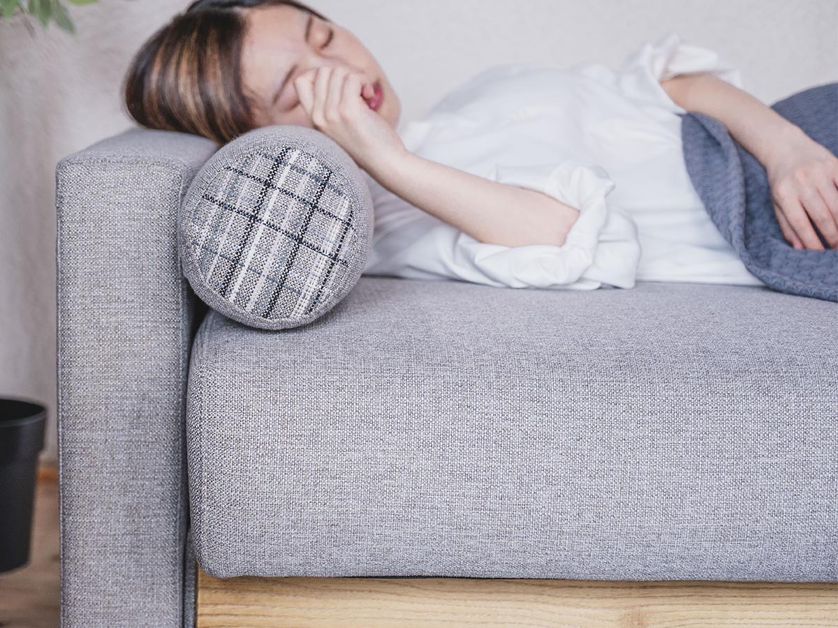 HERSHEY SOFA BED / ハーシー ソファベッド （ソファ > 三人掛けソファ） 30