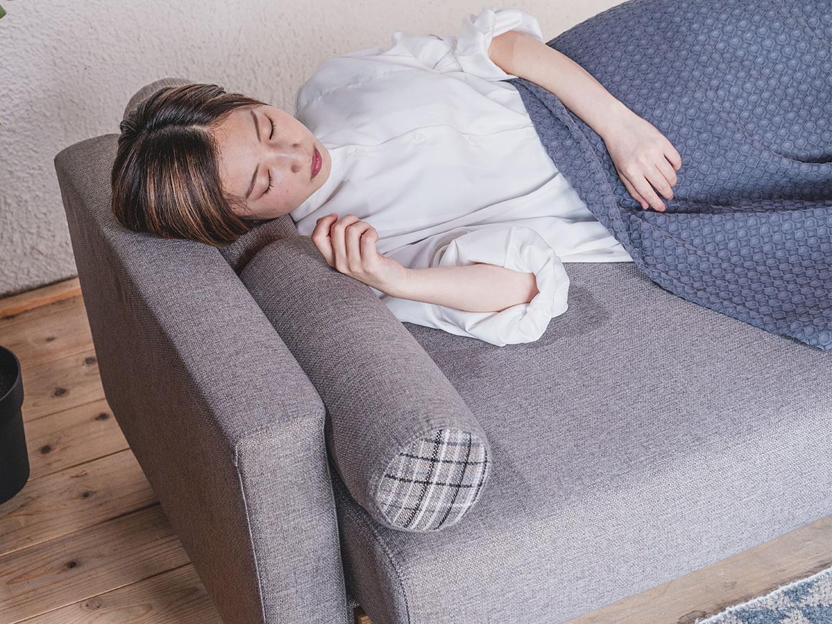 HERSHEY SOFA BED / ハーシー ソファベッド （ソファ > 三人掛けソファ） 26