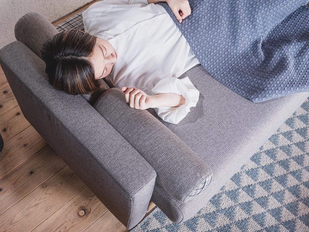 HERSHEY SOFA BED / ハーシー ソファベッド （ソファ > 三人掛けソファ） 27
