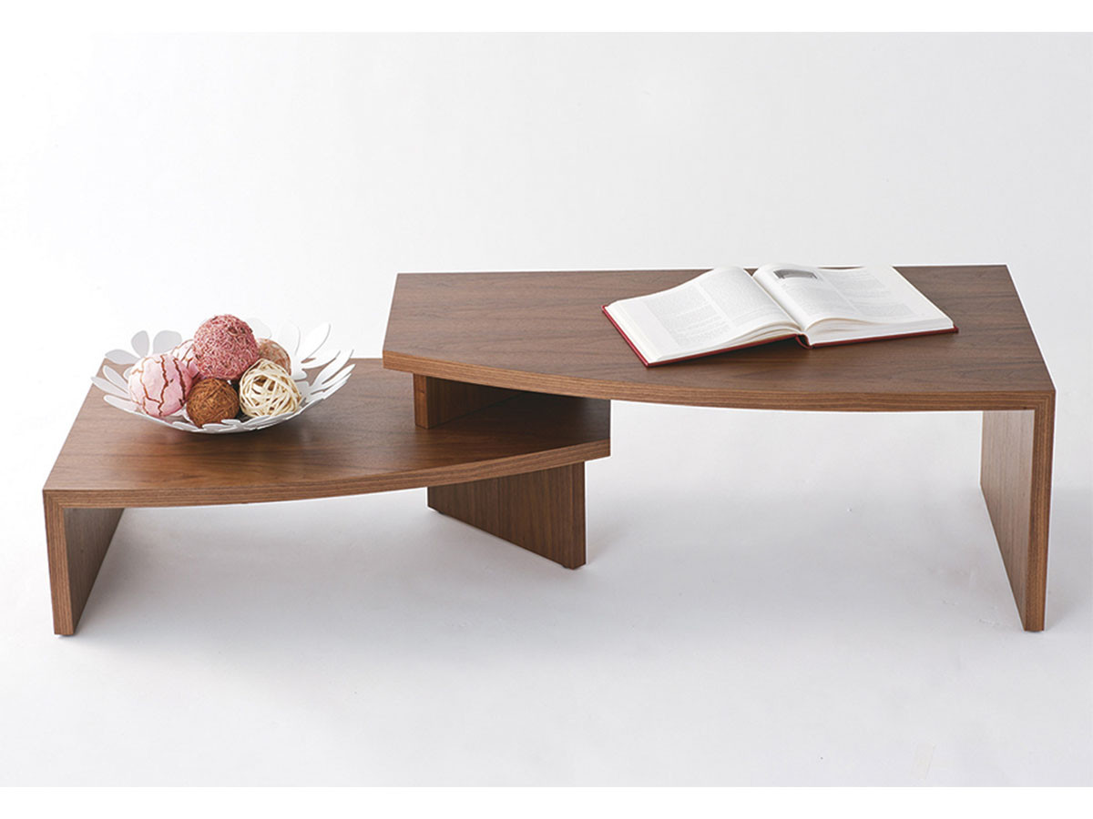 Living Table / リビングテーブル #107836 （テーブル > ローテーブル・リビングテーブル・座卓） 3