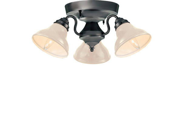CUSTOM SERIES
3 Ceiling Lamp × Mini Flare Enamel 11