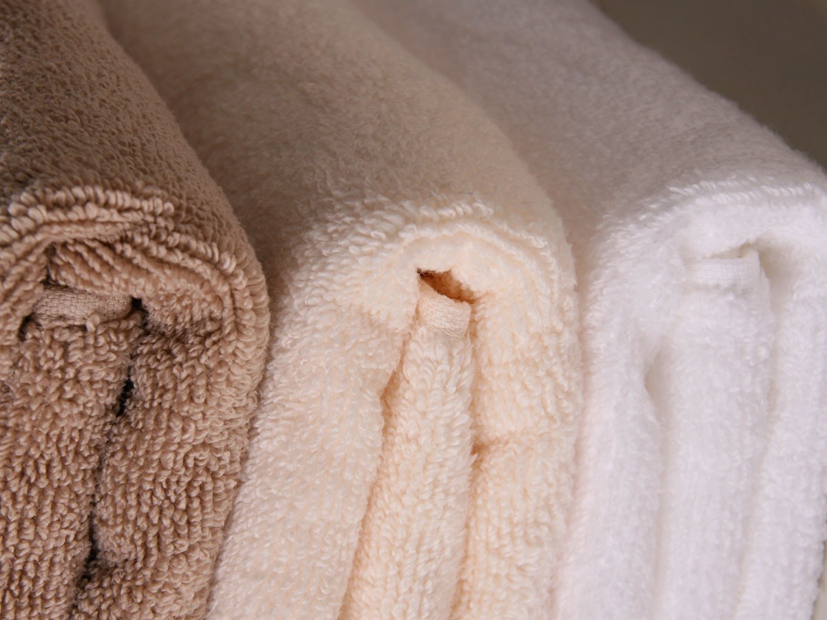 Micro Cotton Regular Face Towel / マイクロコットン レギュラー フェイスタオル （寝具・タオル > タオル） 13
