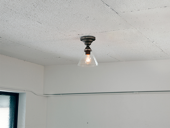 CUSTOM SERIES
Basic Ceiling Lamp × Trans Soil / カスタムシリーズ
ベーシックシーリングランプ × トランス（ソイル） （ライト・照明 > シーリングライト） 2
