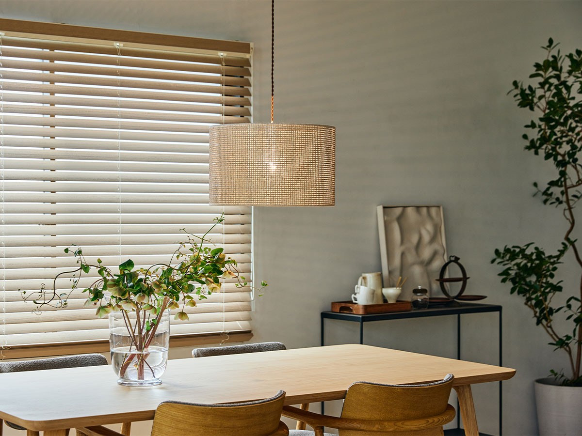 APROZ DANTE / アプロス ダンテ （ライト・照明 > ペンダントライト） 3