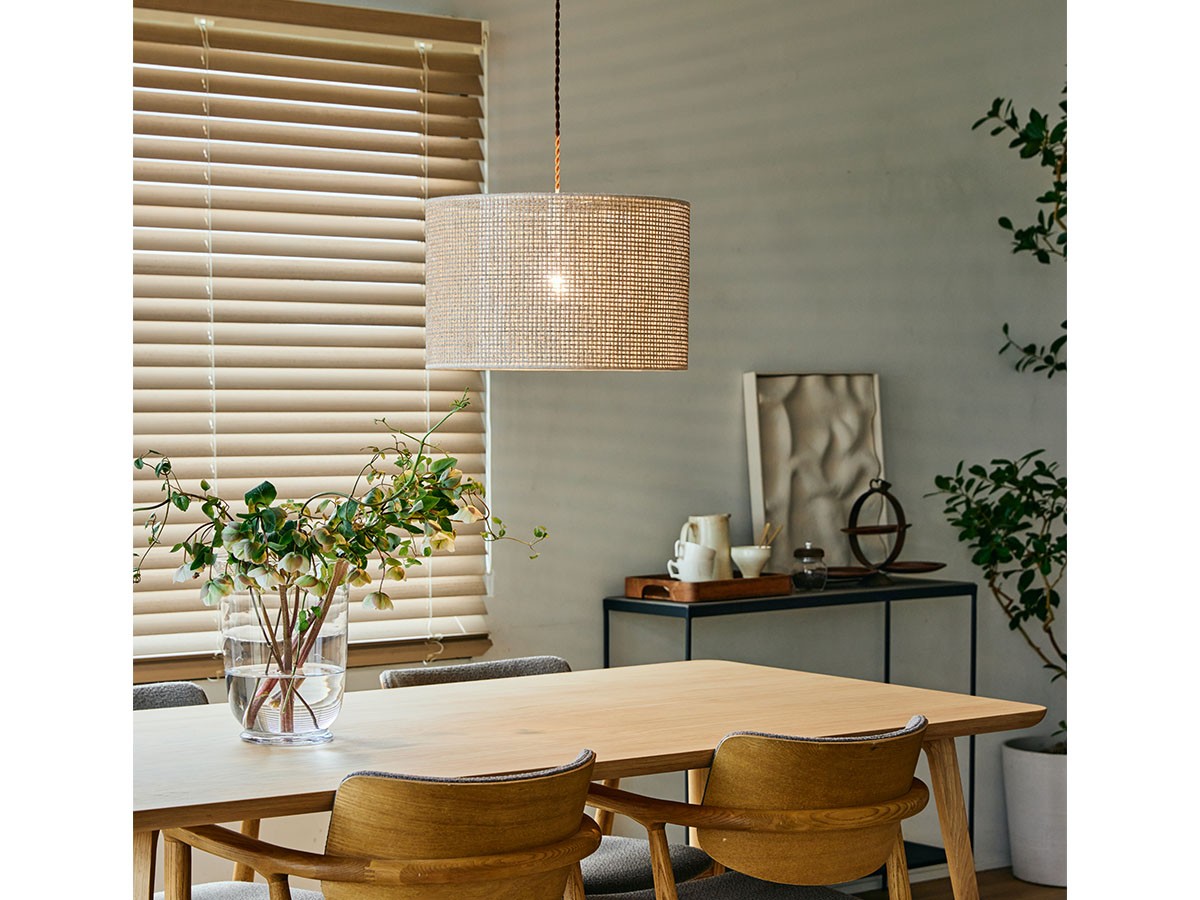 APROZ DANTE / アプロス ダンテ （ライト・照明 > ペンダントライト） 4