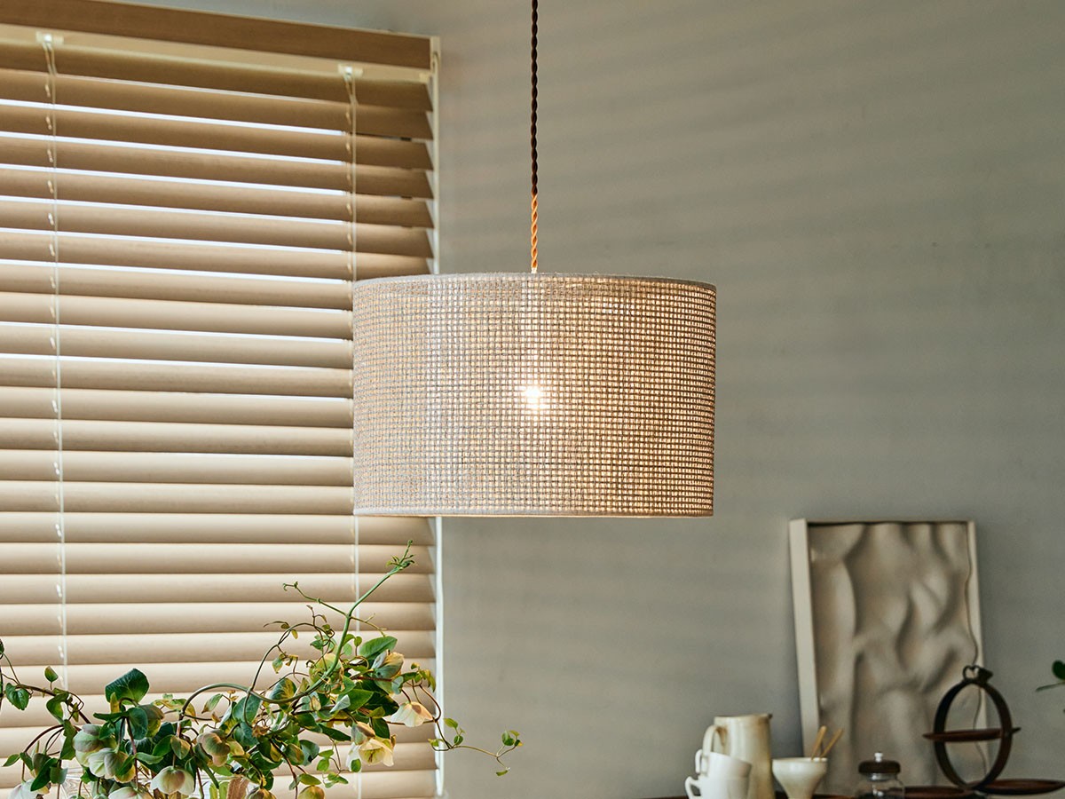 APROZ DANTE / アプロス ダンテ （ライト・照明 > ペンダントライト） 5