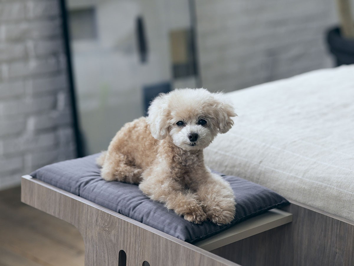 FRANCE PET Pet Step Bench / フランスペット ペットステップベンチ （雑貨・その他インテリア家具 > ペット用品・家具） 8