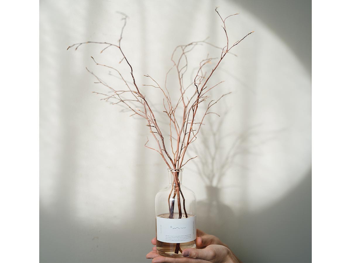 Odai himeshara diffuser set / オオダイ ヒメシャラ ディフューザーセット 森林の香り （インテリア雑貨 > ルームフレグランス） 31