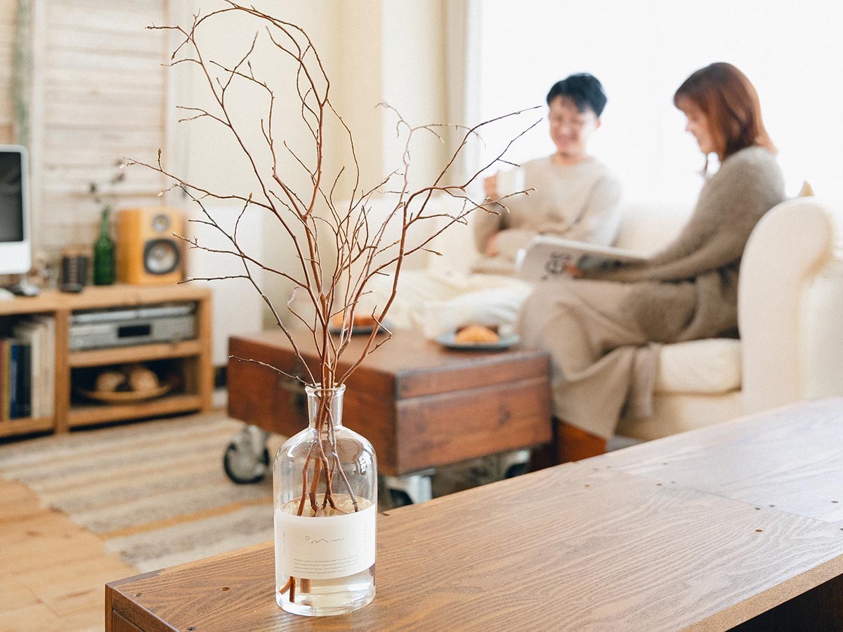 Odai himeshara diffuser set / オオダイ ヒメシャラ ディフューザーセット 森林の香り （インテリア雑貨 > ルームフレグランス） 11