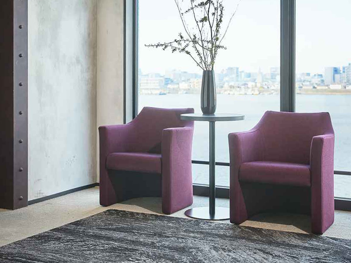 ABORD LOUNGE CHAIR / アボール ラウンジチェア  F005K （チェア・椅子 > ラウンジチェア） 5