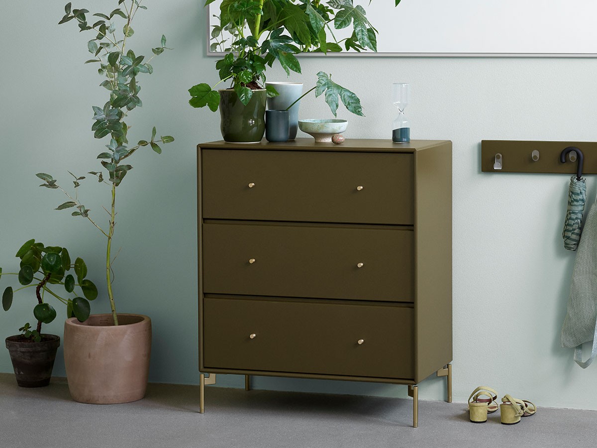 Montana Montana  Selection Carry Dresser / モンタナ モンタナ セレクション キャリー ドレッサー （収納家具 > チェスト・箪笥） 5