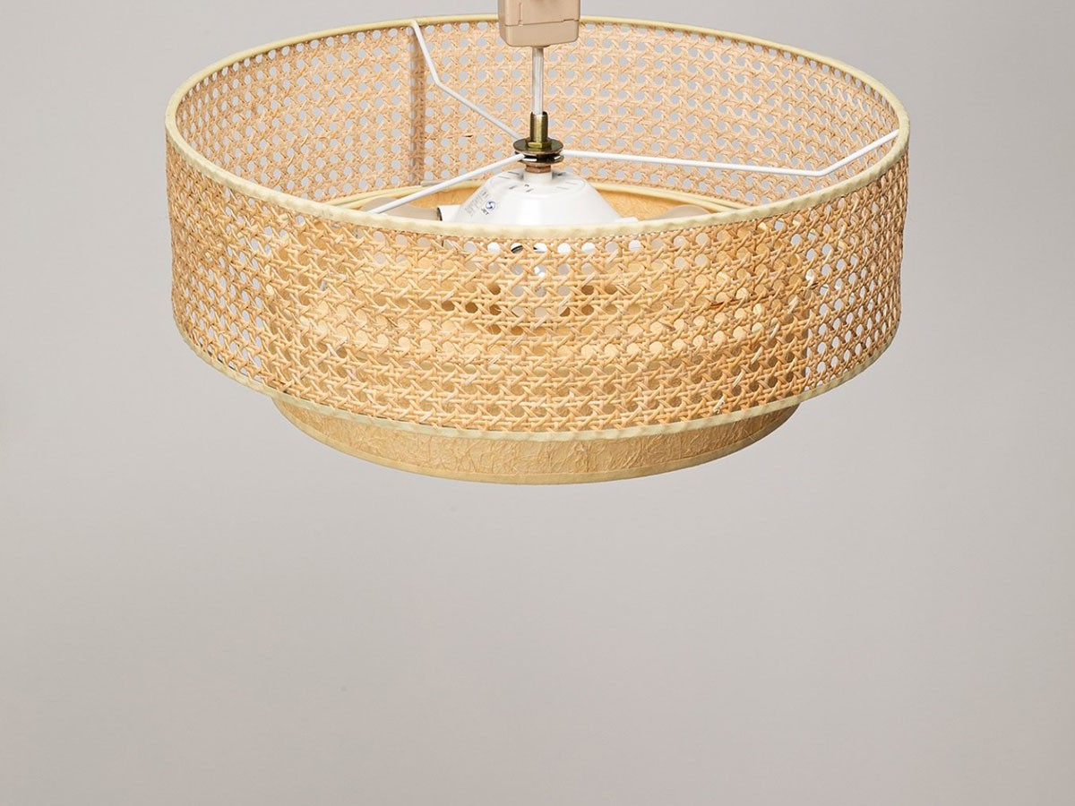 JOURNAL STANDARD FURNITURE DAFNE CEILING LAMP / ジャーナルスタンダードファニチャー ダフネ シーリングランプ （ライト・照明 > シーリングライト） 7