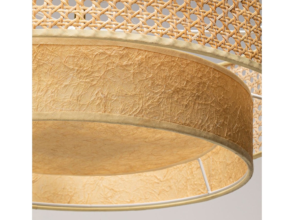 JOURNAL STANDARD FURNITURE DAFNE CEILING LAMP / ジャーナルスタンダードファニチャー ダフネ シーリングランプ （ライト・照明 > シーリングライト） 10