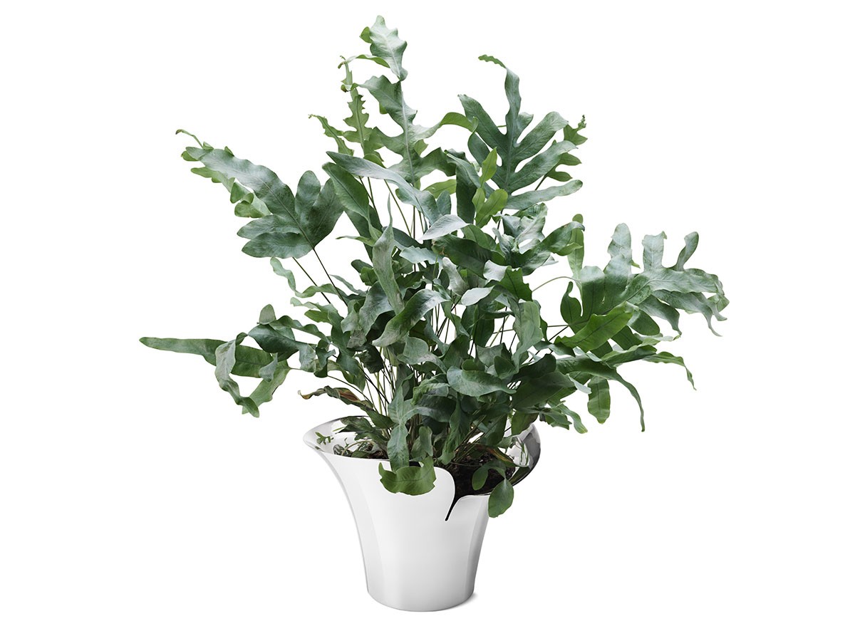 GEORG JENSEN BLOOM BOTANICA FLOWER POT / ジョージ ジェンセン ブルーム ボタニカ フラワーポット M （花器・プランター・グリーン > 花瓶・フラワーベース） 2