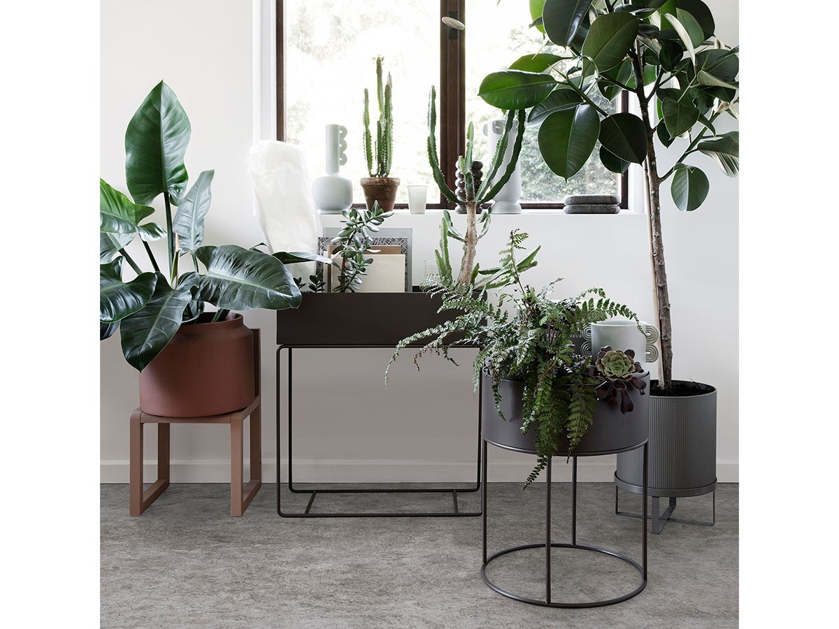 ferm LIVING Plant Box / ファームリビング プラントボックス