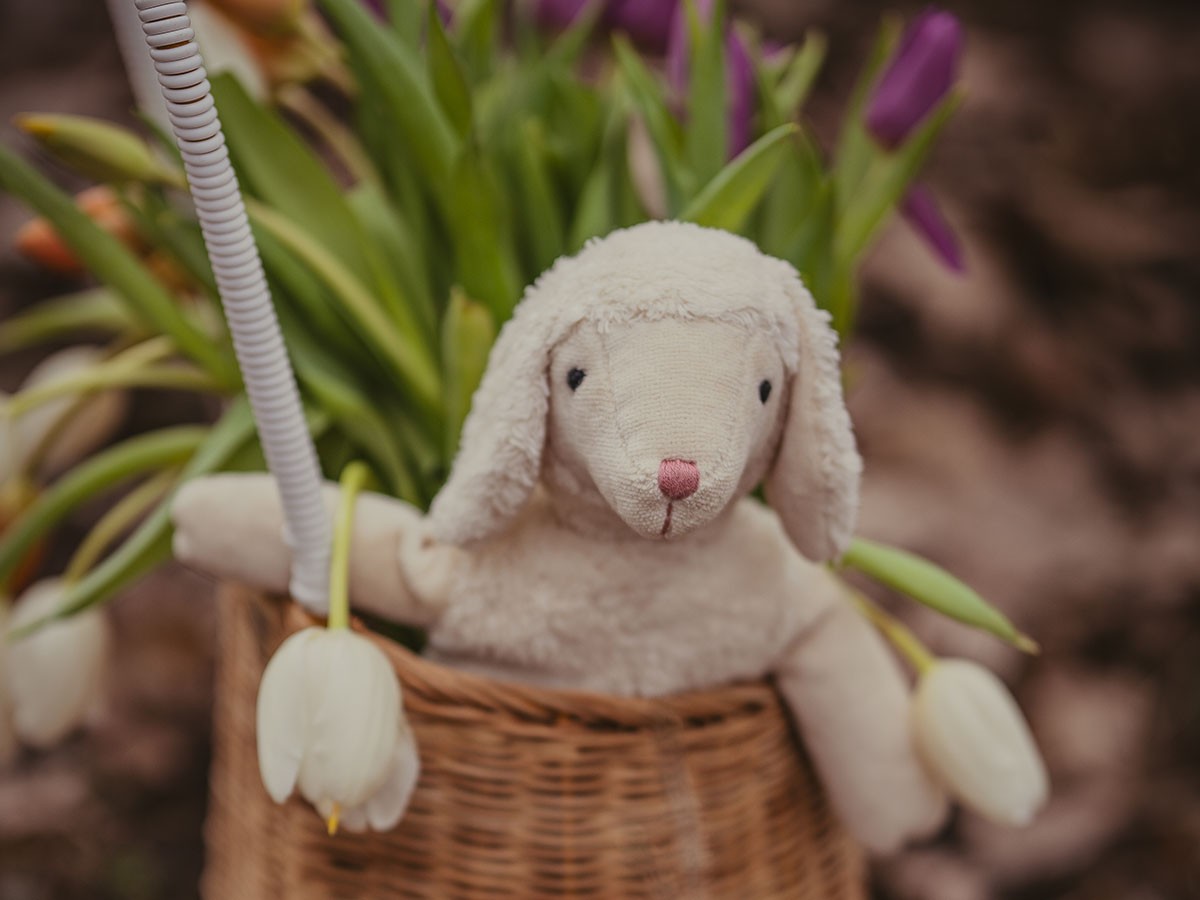 SENGER Naturwelt Floppy Animal Sheep / ゼンガーナチュウェルト フロッピーアニマル シープ S （キッズ家具・ベビー用品 > おもちゃ・玩具） 4