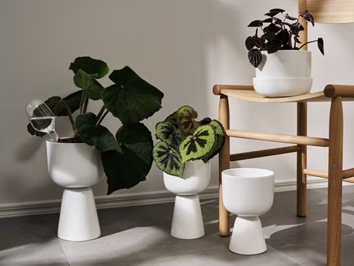 iittala Nappula Plant Pot / イッタラ ナップラ プラントポット 230 × 155（ホワイト） -  インテリア・家具通販【FLYMEe】