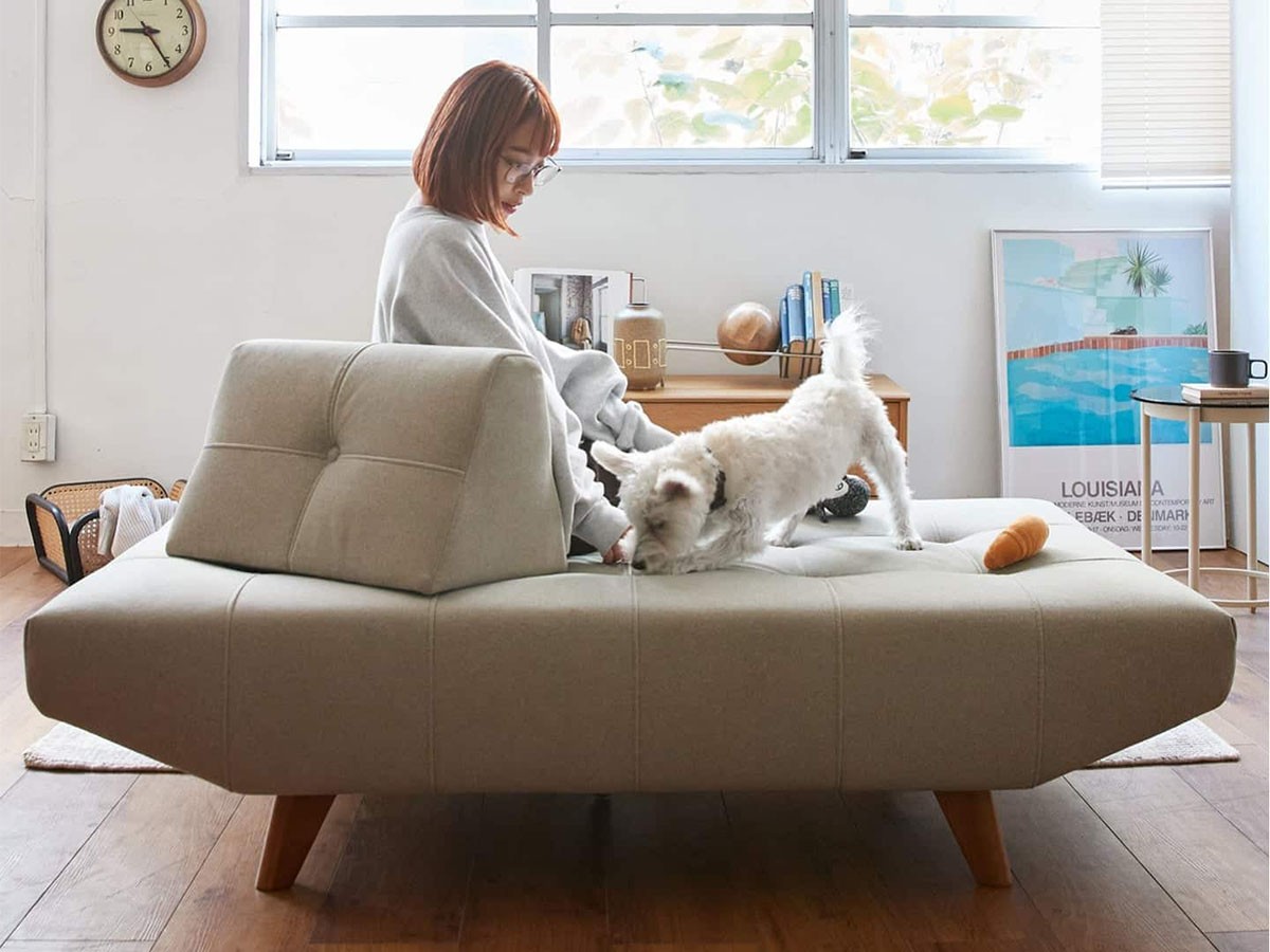 JOURNAL STANDARD FURNITURE PLAYA SOFA / ジャーナルスタンダードファニチャー プラヤ ソファ 背クッション S（ペット対応生地） （ソファ > ソファカバー・オプション） 5