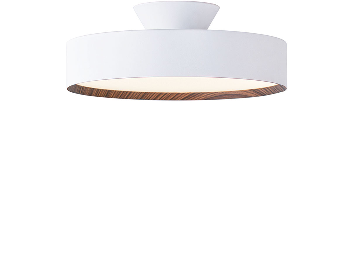 LED Ceiling Lamp 4