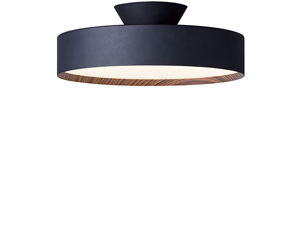 LED Ceiling Lamp 1