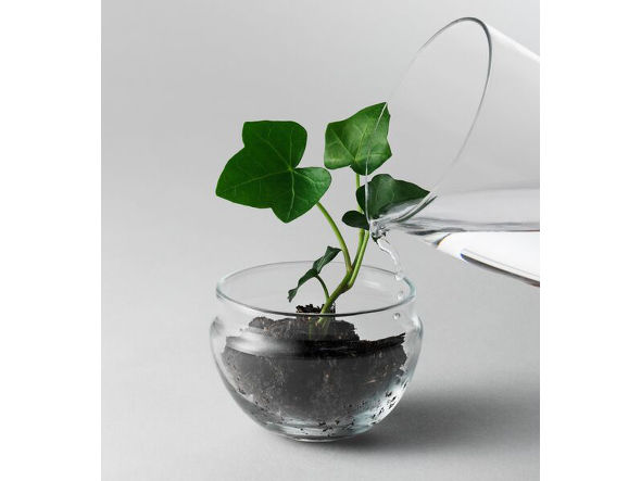 Design House Stockholm Grow greenhouse
Clear glass / デザインハウスストックホルム グロウ グリーンハウス
クリアガラス （花器・プランター・グリーン > 花瓶・フラワーベース） 3
